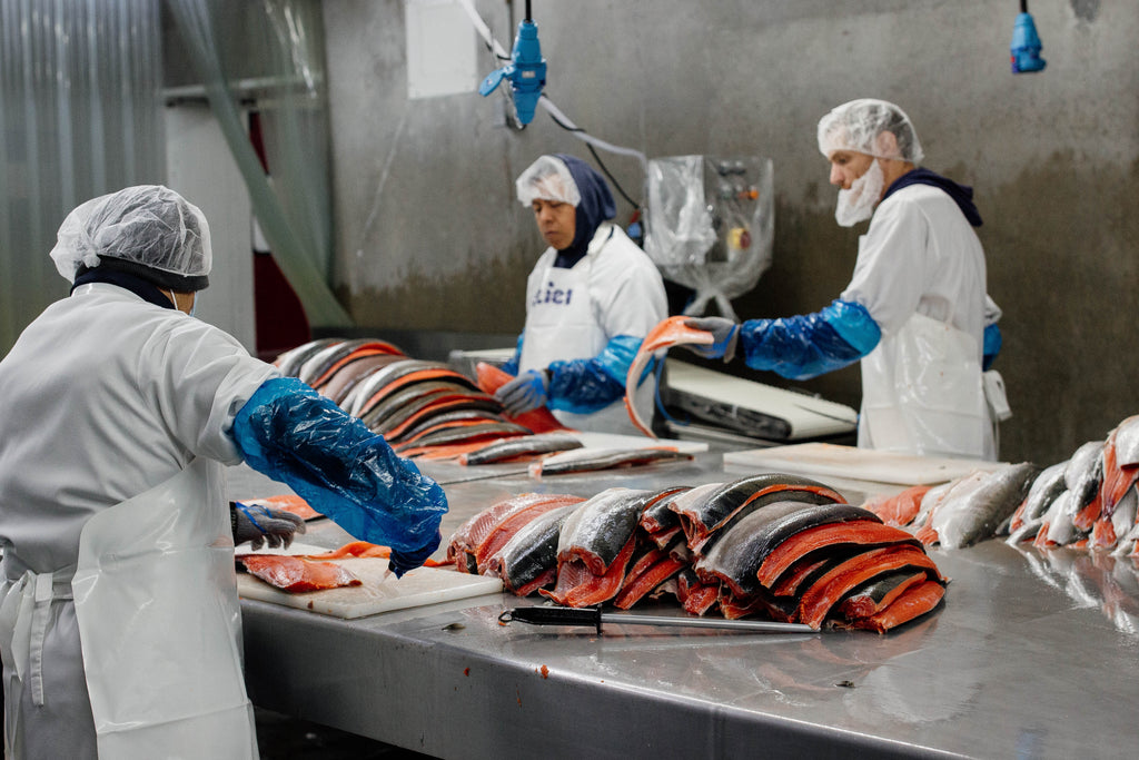 Your Guide to SeaBear's Salmon Products