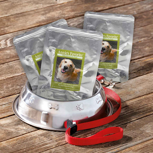 Annie's Favorite Wild Salmon Dog Treats in Bowl with Leash | SeaBear Smokehouse