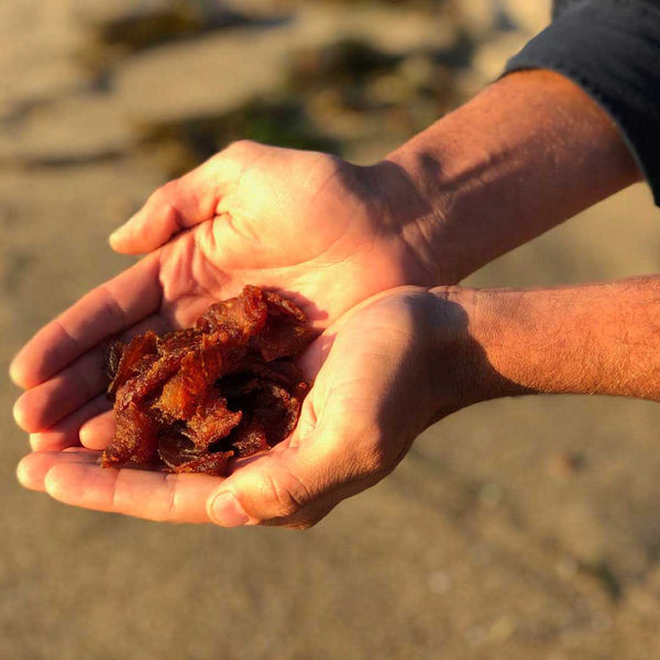 Neptune Fish Jerky SeaBear Smokehouse