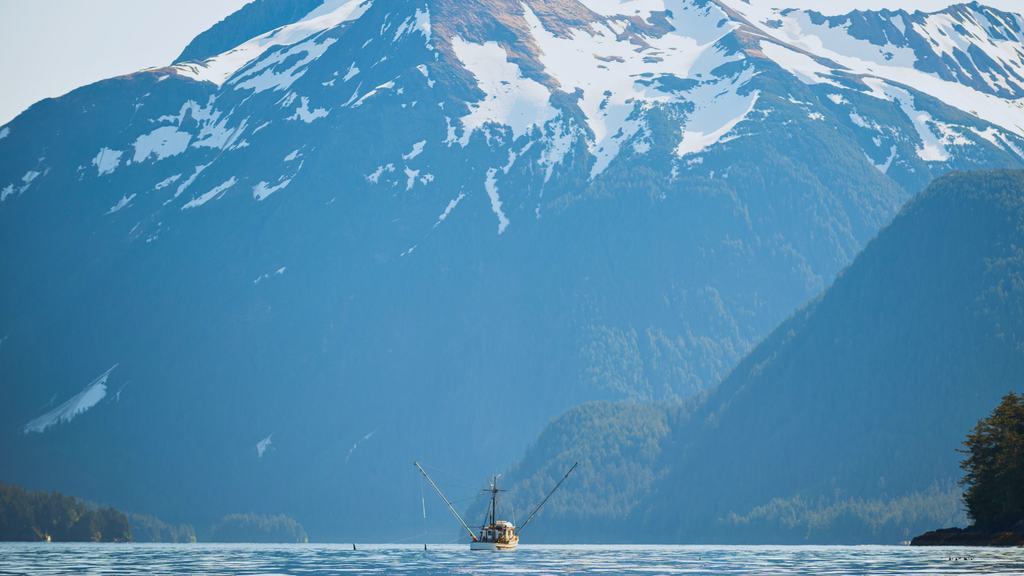 Sustainable Seafood & Our Partnership with MSC