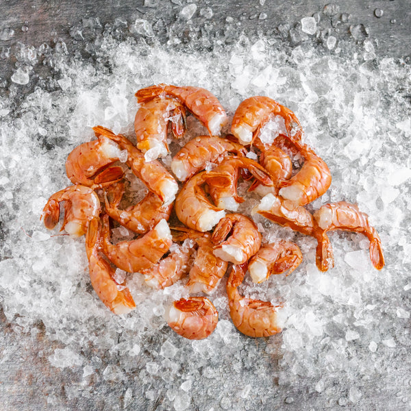 Wild Alaska Spot Prawns