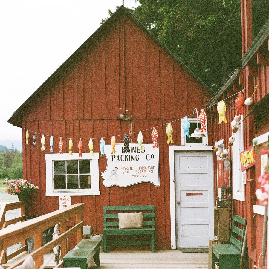 Catch #18 Upgrade: Sockeye Salmon from Haines, Alaska — 6 oz Dinner Fillet (8 Pack)