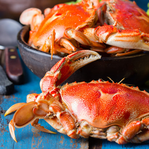 Whole Cooked Dungeness Crab 2-Pack