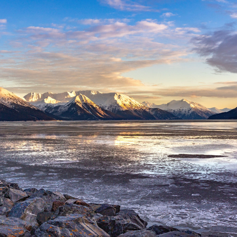 Catch #15: Sockeye Salmon from Cook Inlet, Alaska
