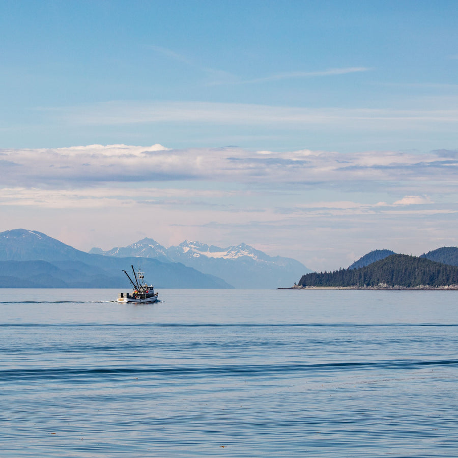 Catch #22: Pacific Halibut from Southeast Alaska