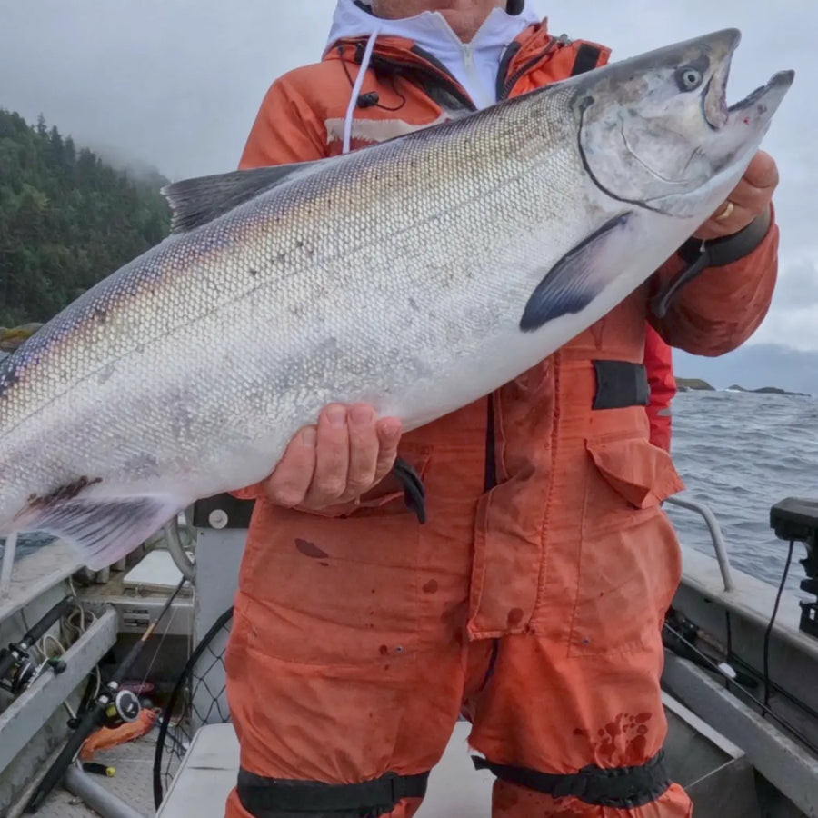 Catch #5: Tribal Families Baker River King Salmon