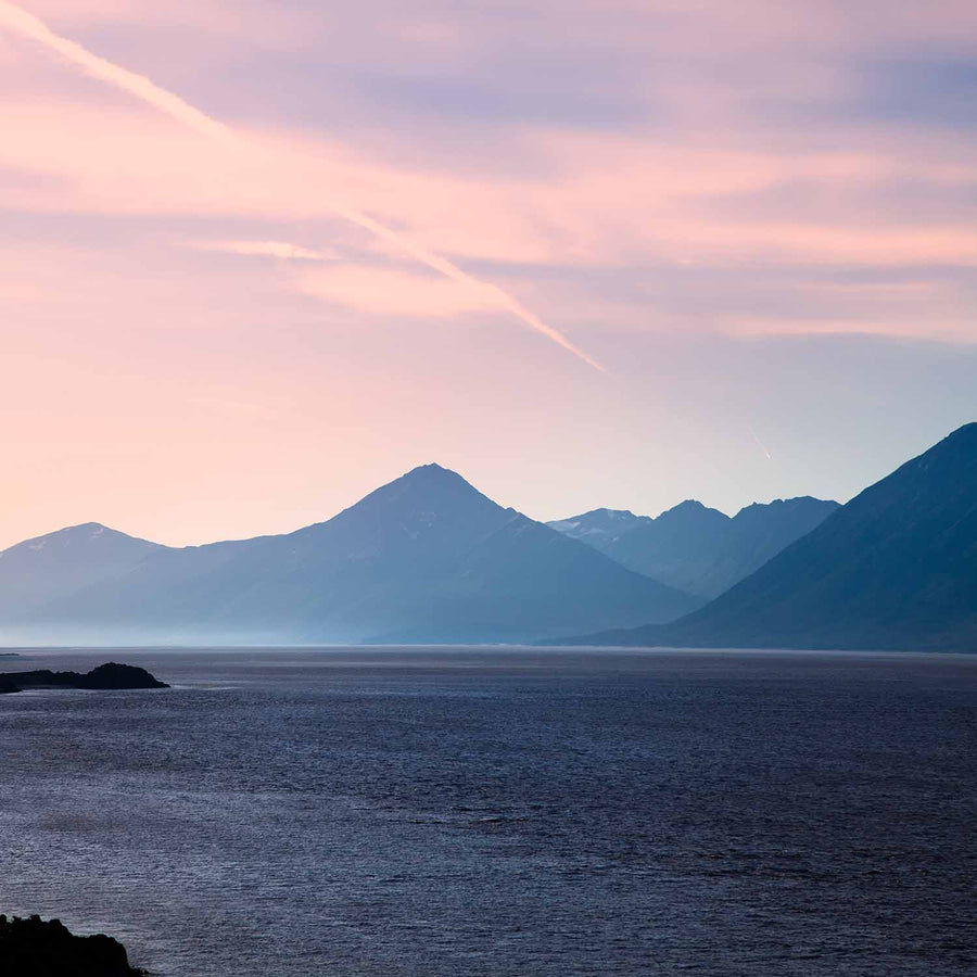 Cook Inlet Sockeye Salmon