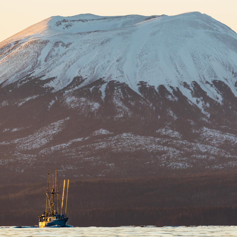Catch #25: Sablefish from Seafood Producers Co-op, Southeast Alaska