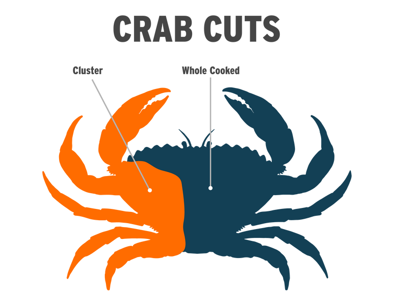 Dungeness Crab Cluster Infographic