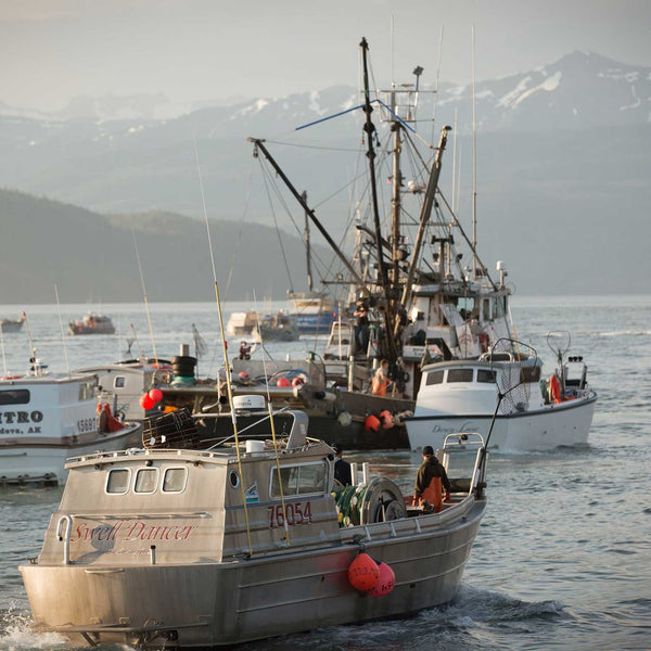 Copper River Smoked Sockeye Salmon | SeaBear Smokehouse