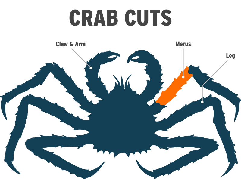 King Crab Merus Infographic