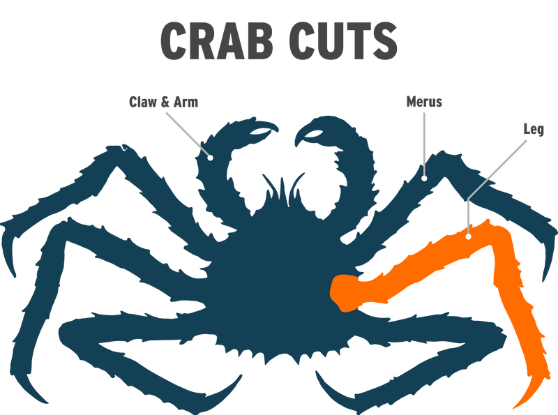 King Crab Leg Infographic