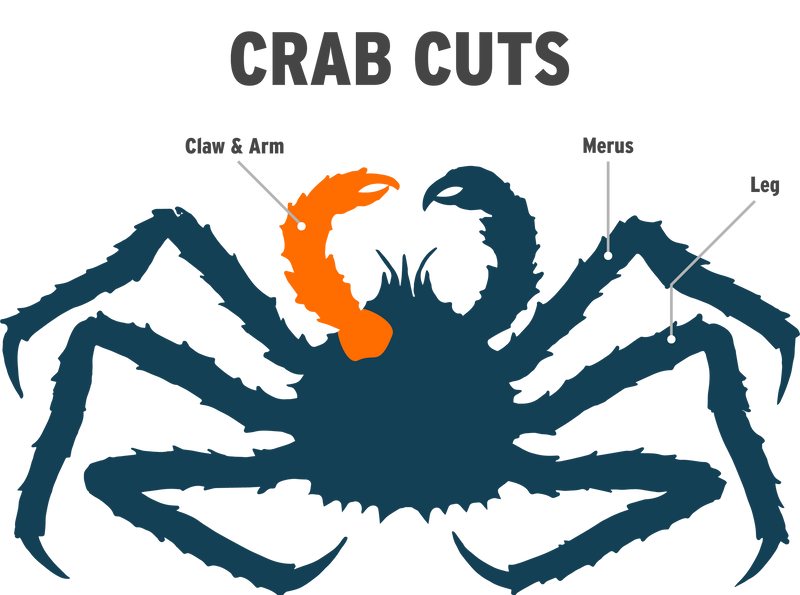 King Crab Claw & Arm Infographic