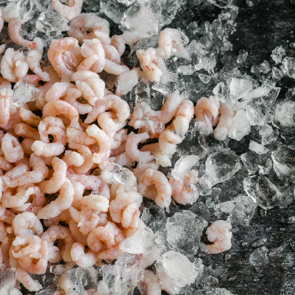 Wild Oregon Pink Shrimp