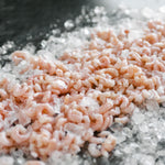 Wild Oregon Pink Shrimp