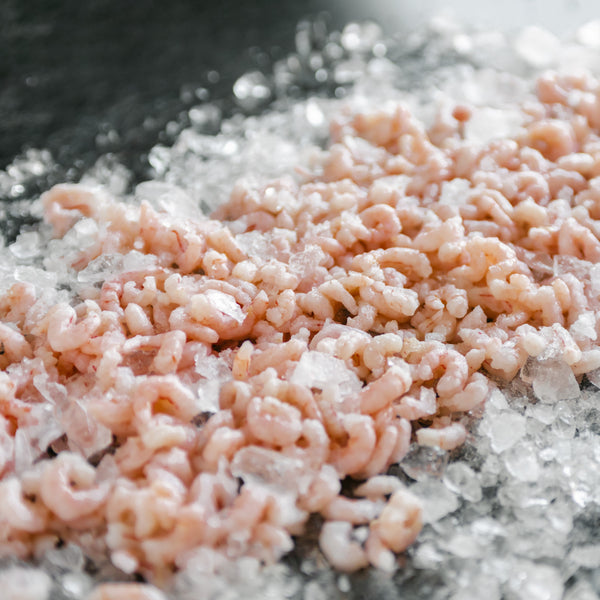 Wild Oregon Pink Shrimp