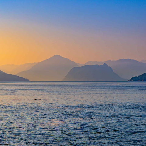 Catch #2 Upgrade: Halibut from the Salish Sea — 6 oz Dinner Fillet (10 Pack)