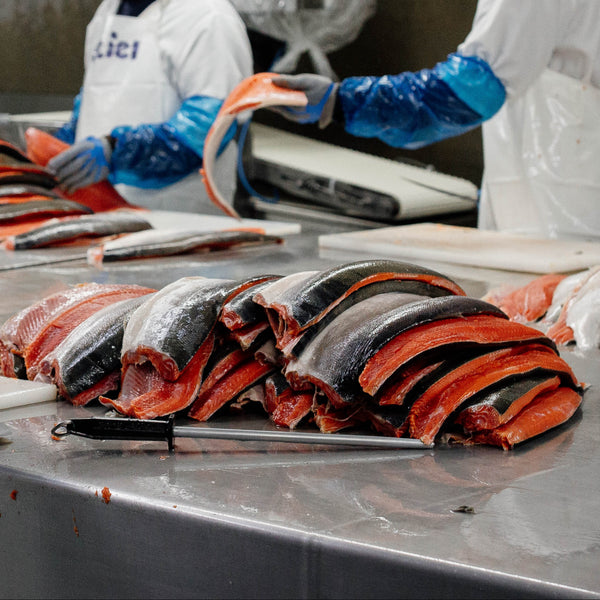 Pile of wild salmon being processin a fillet room | SeaBear Smokehouse