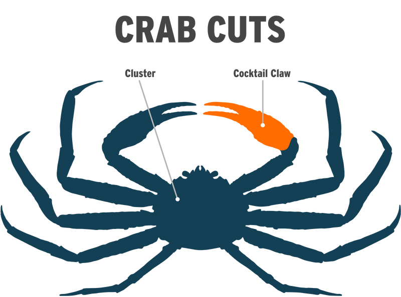 Snow Crab - Cocktail Claw Infographic