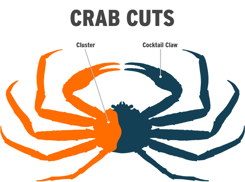 Snow Crab Cluster Infographic