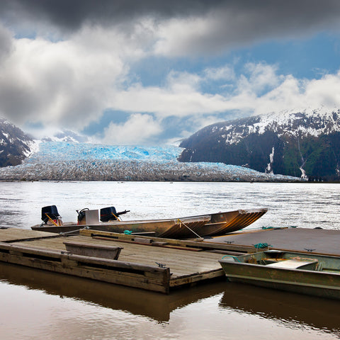 Featured image of Event #12: Fresh & Wild Sockeye Salmon from Taku River, Alaska - Ships Week of July 17th