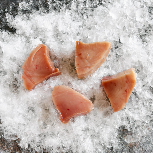Wild Albacore Tuna Loin Medallions