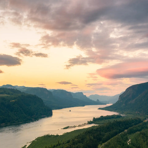 Catch #7 Upgrade: King Salmon from the Columbia River — 6 oz Dinner Fillet (10 Pack)