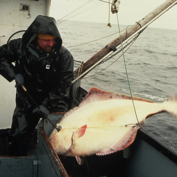 Catch #3: Pacific Halibut from Southeast Alaska