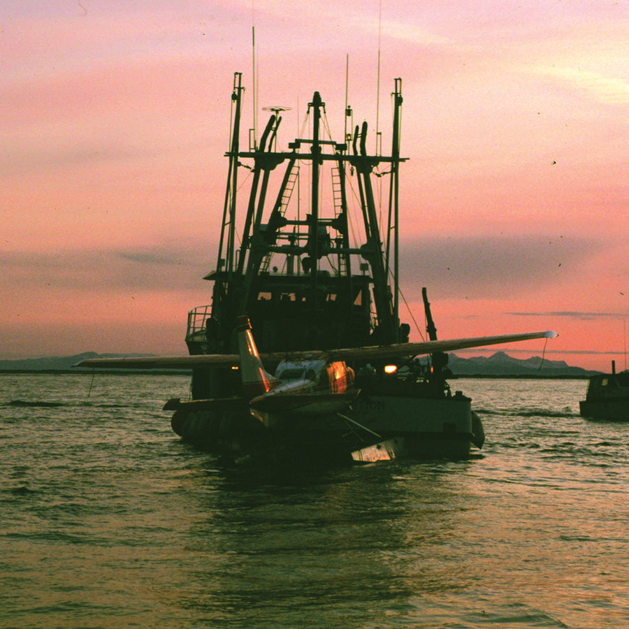 Catch #21 Upgrade: Coho Salmon from Copper River, Alaska