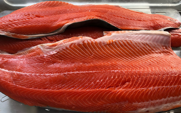 Catch #19: Reef Net Sockeye Salmon from Lummi Island, WA